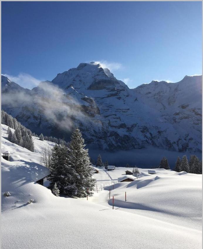 Sonnenberg Dormitories Mürren Eksteriør billede
