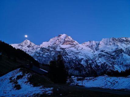 Sonnenberg Dormitories Mürren Eksteriør billede
