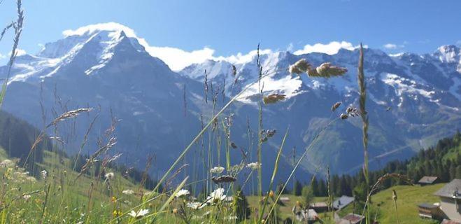 Sonnenberg Dormitories Mürren Eksteriør billede